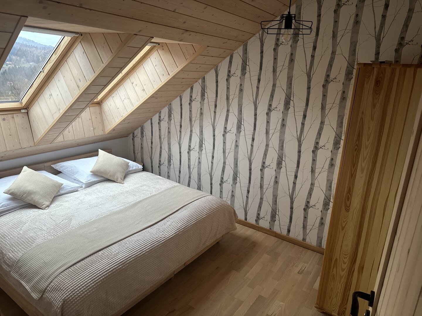 Dom z 6 sypialniami + opcja dostawki